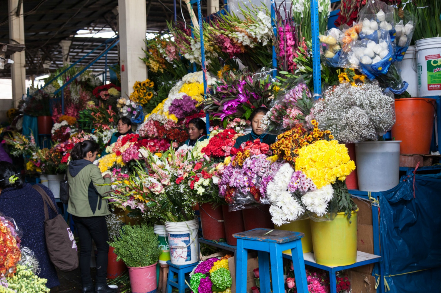 Pérou_Cusco_011