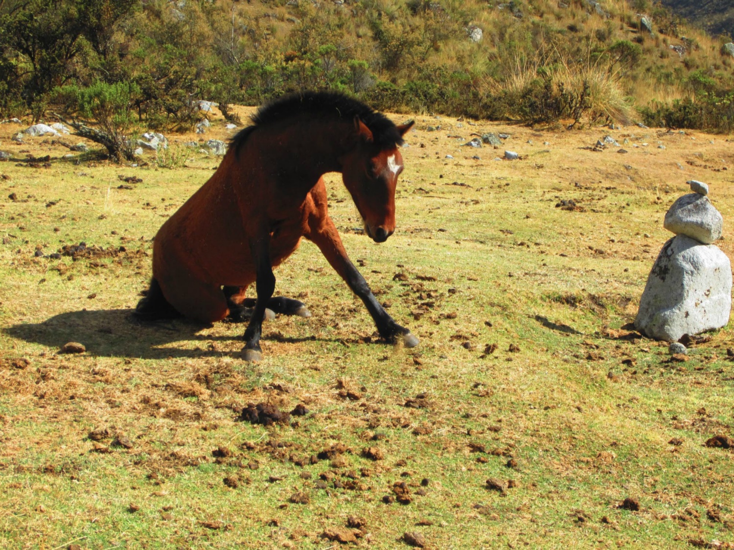 Pérou_Huaraz_A_080