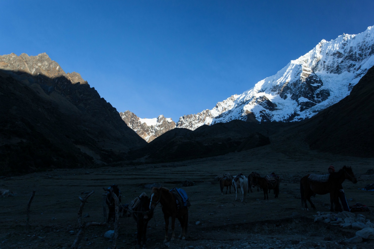 Pérou_Salkantay_022