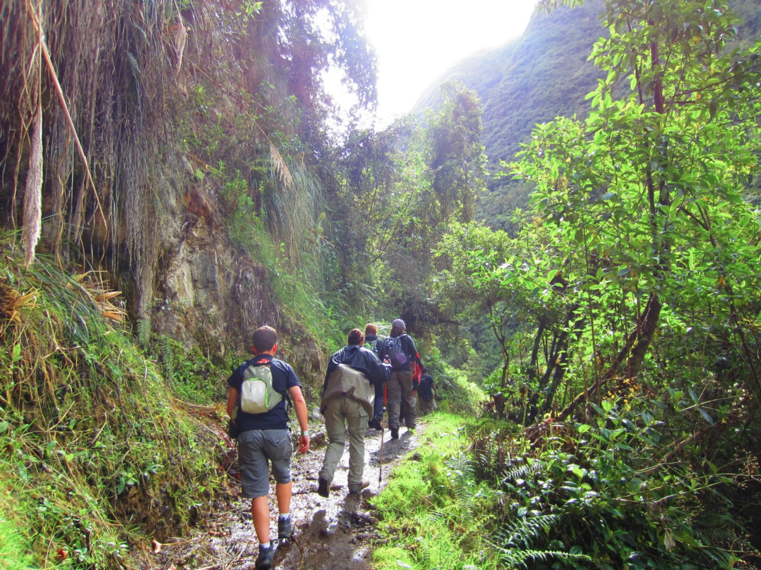 Pérou_Salkantay_A_071