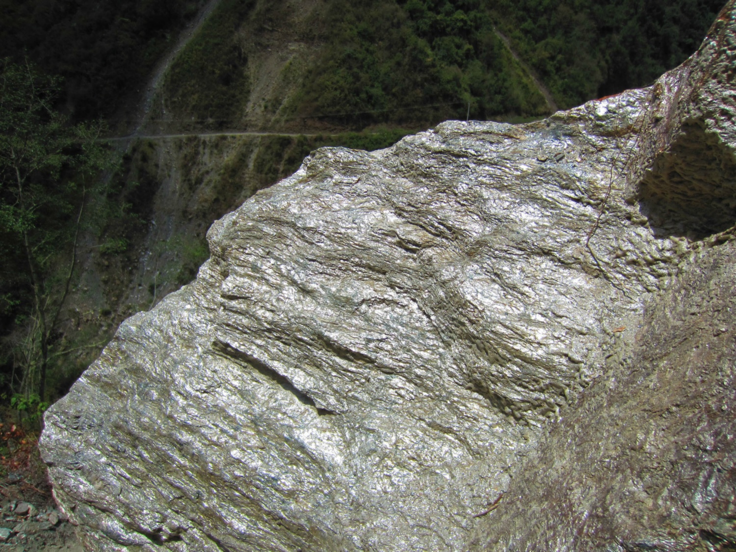 Pérou_Salkantay_A_080