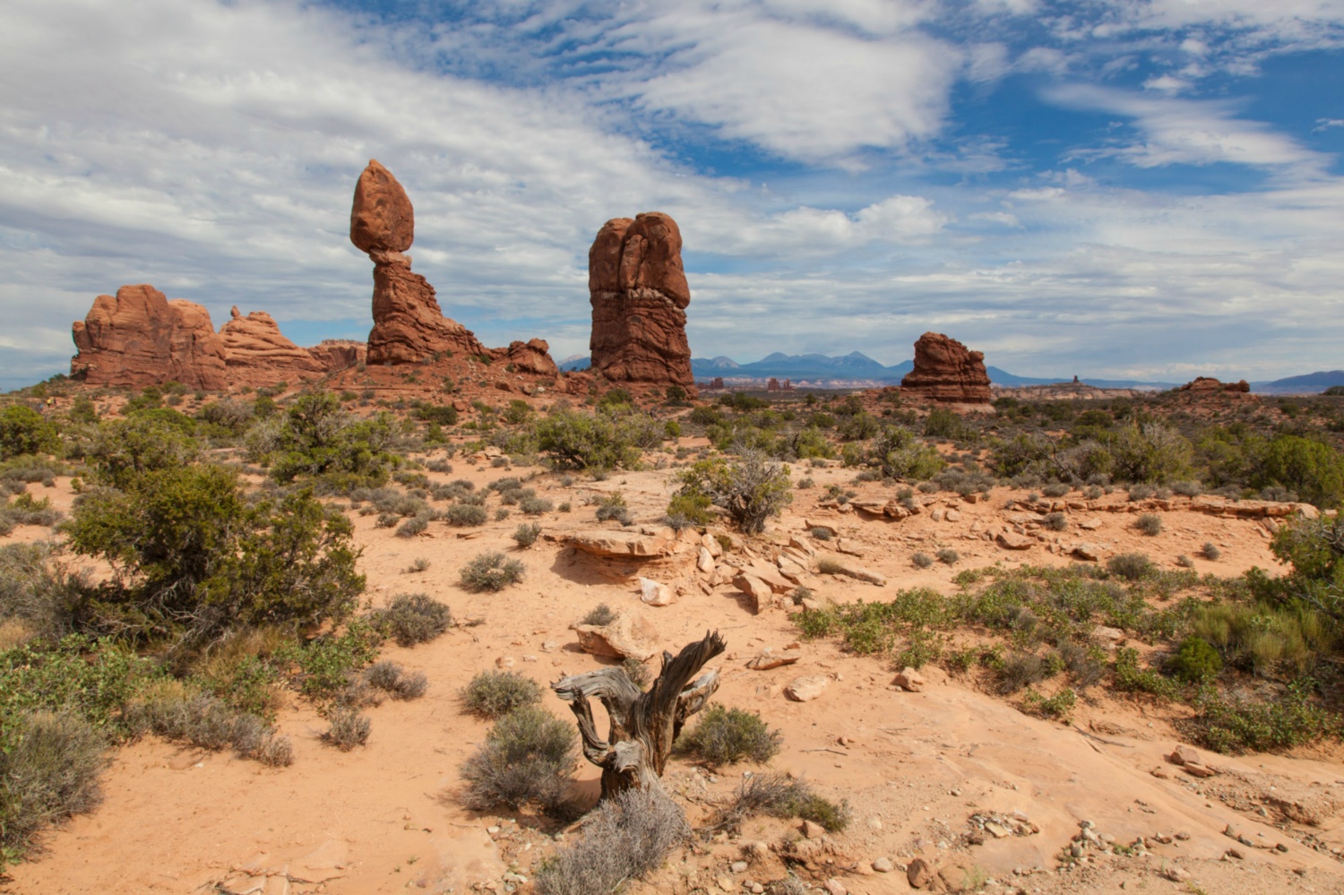 USA_Arches_039