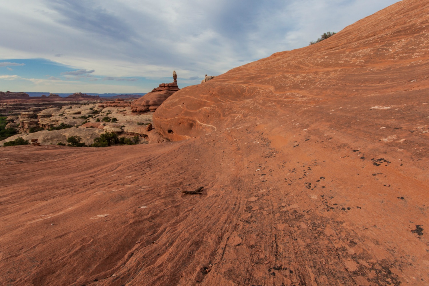 USA_Canyonlands_218