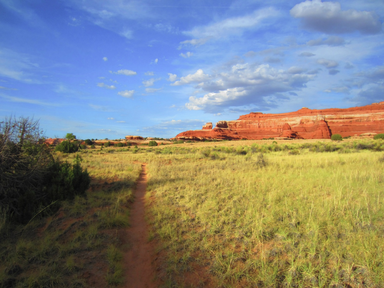 USA_Canyonlands_A_052