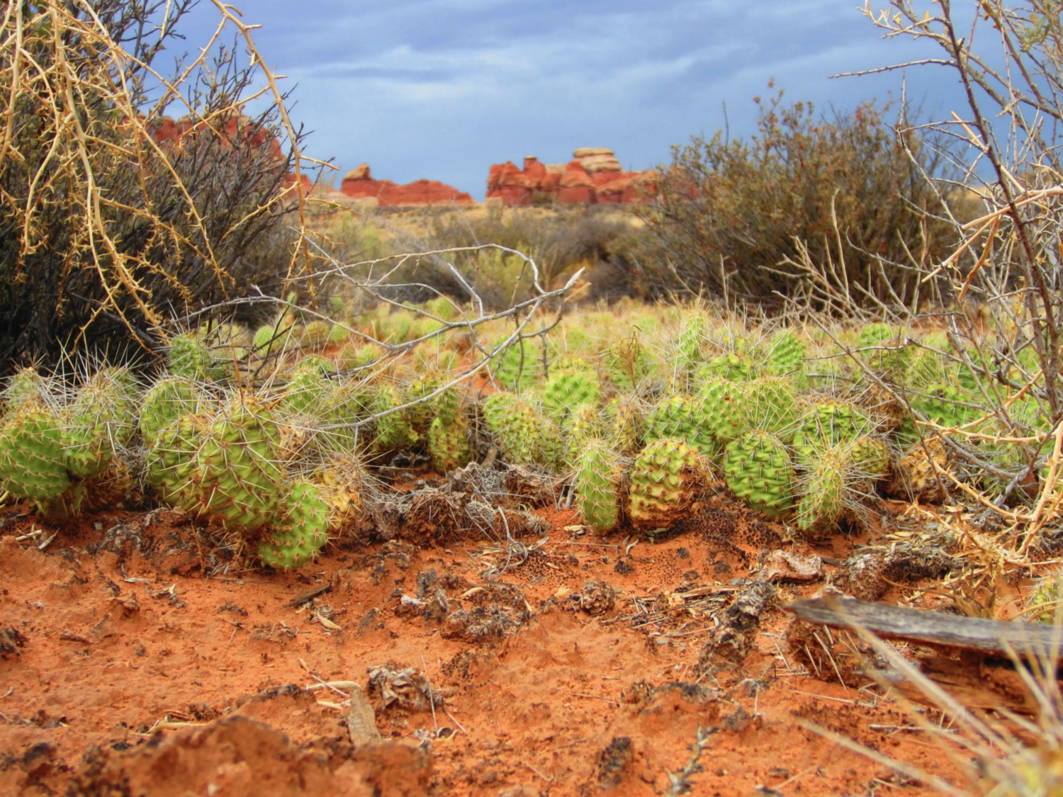 USA_Canyonlands_A_090