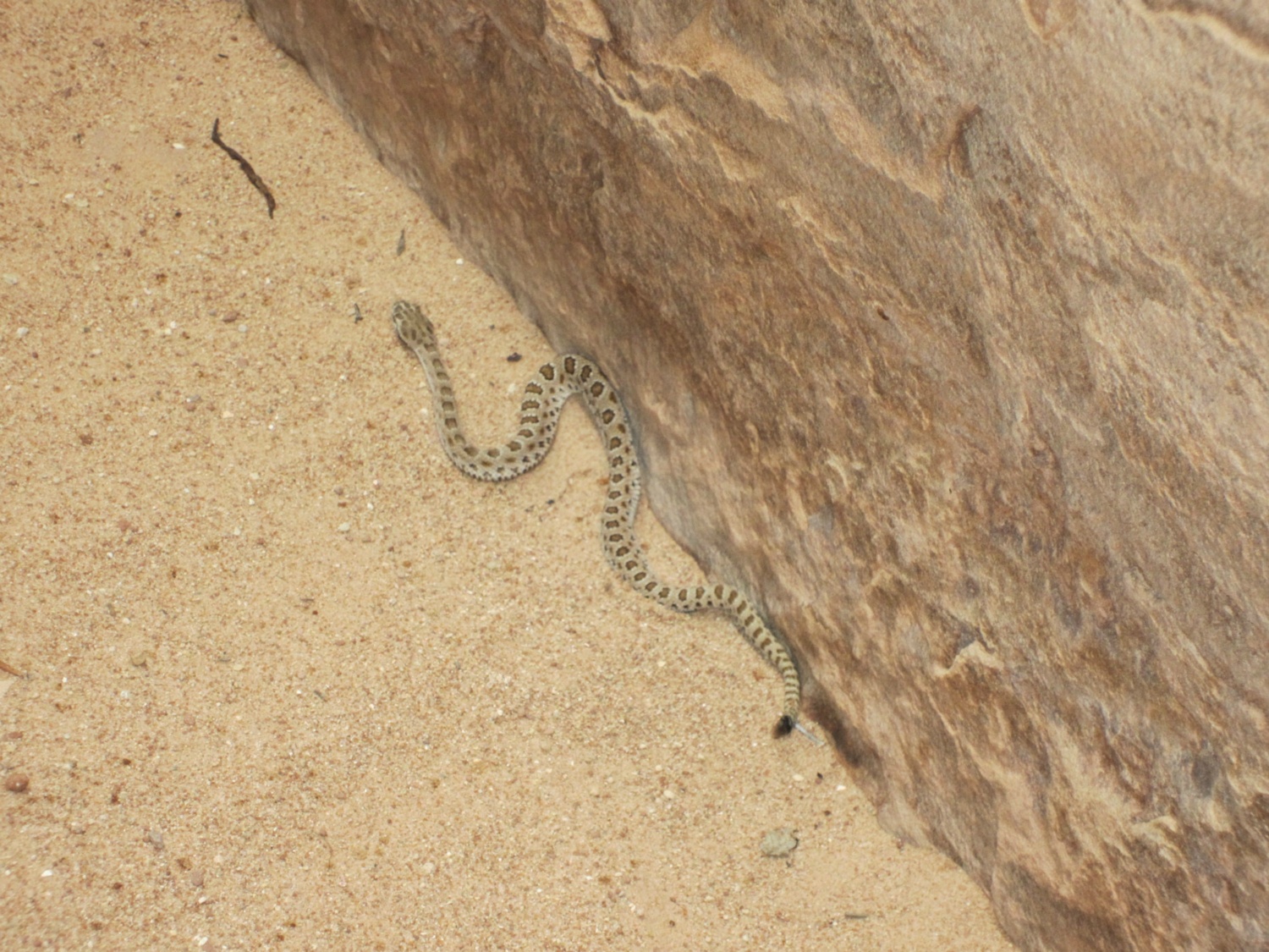 USA_Canyonlands_A_109