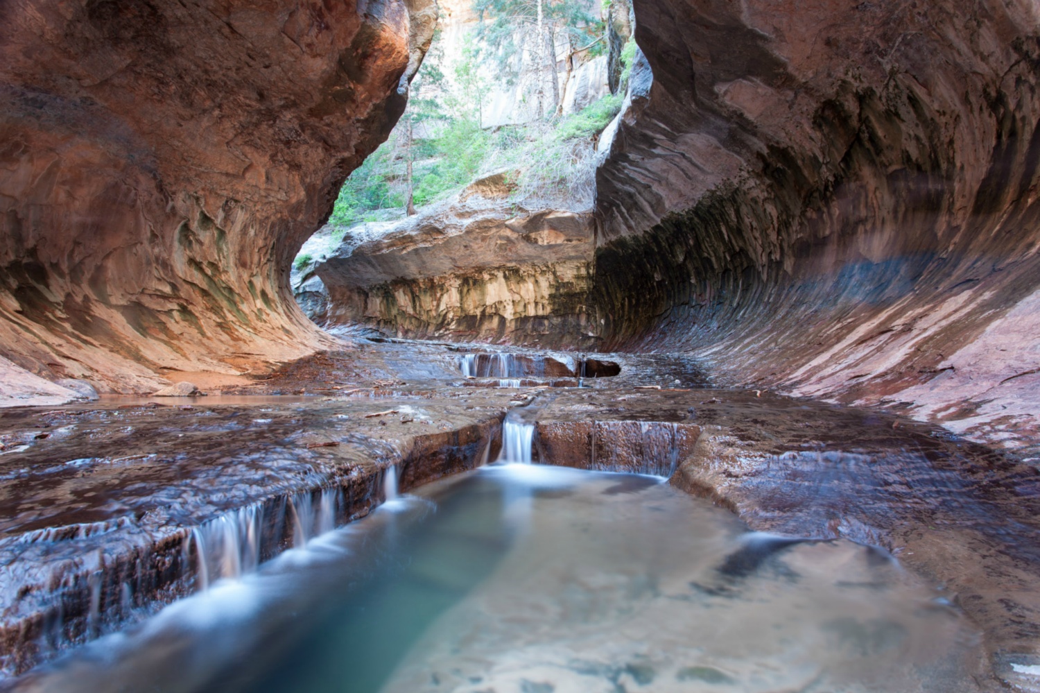 USA_Zion_029