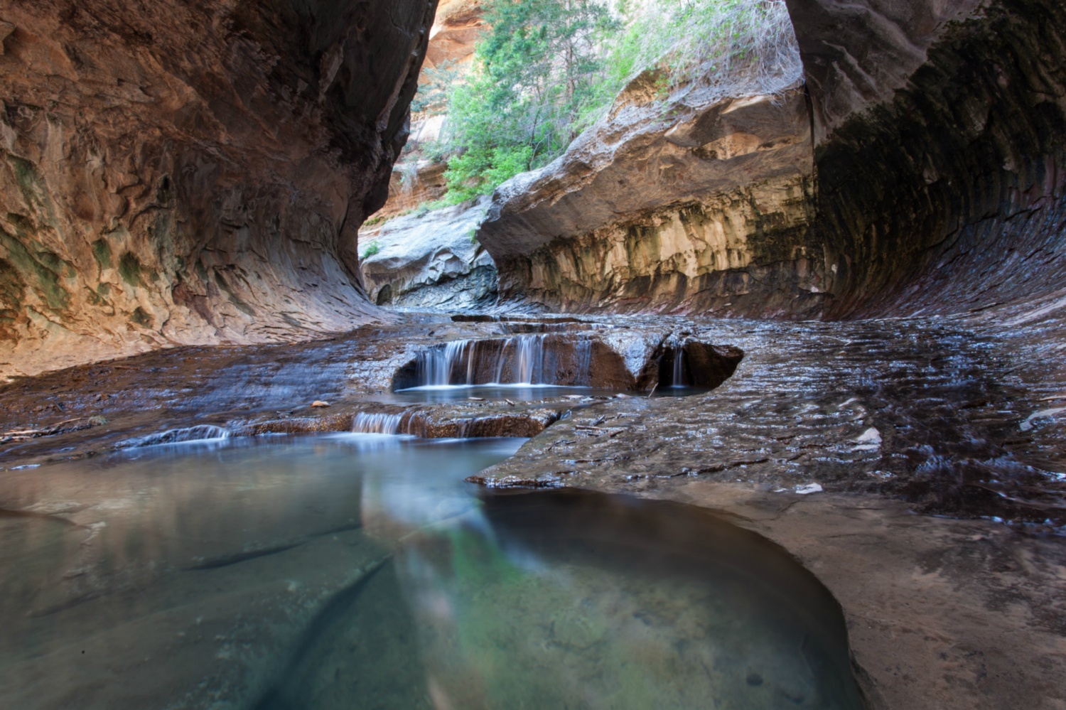 USA_Zion_030