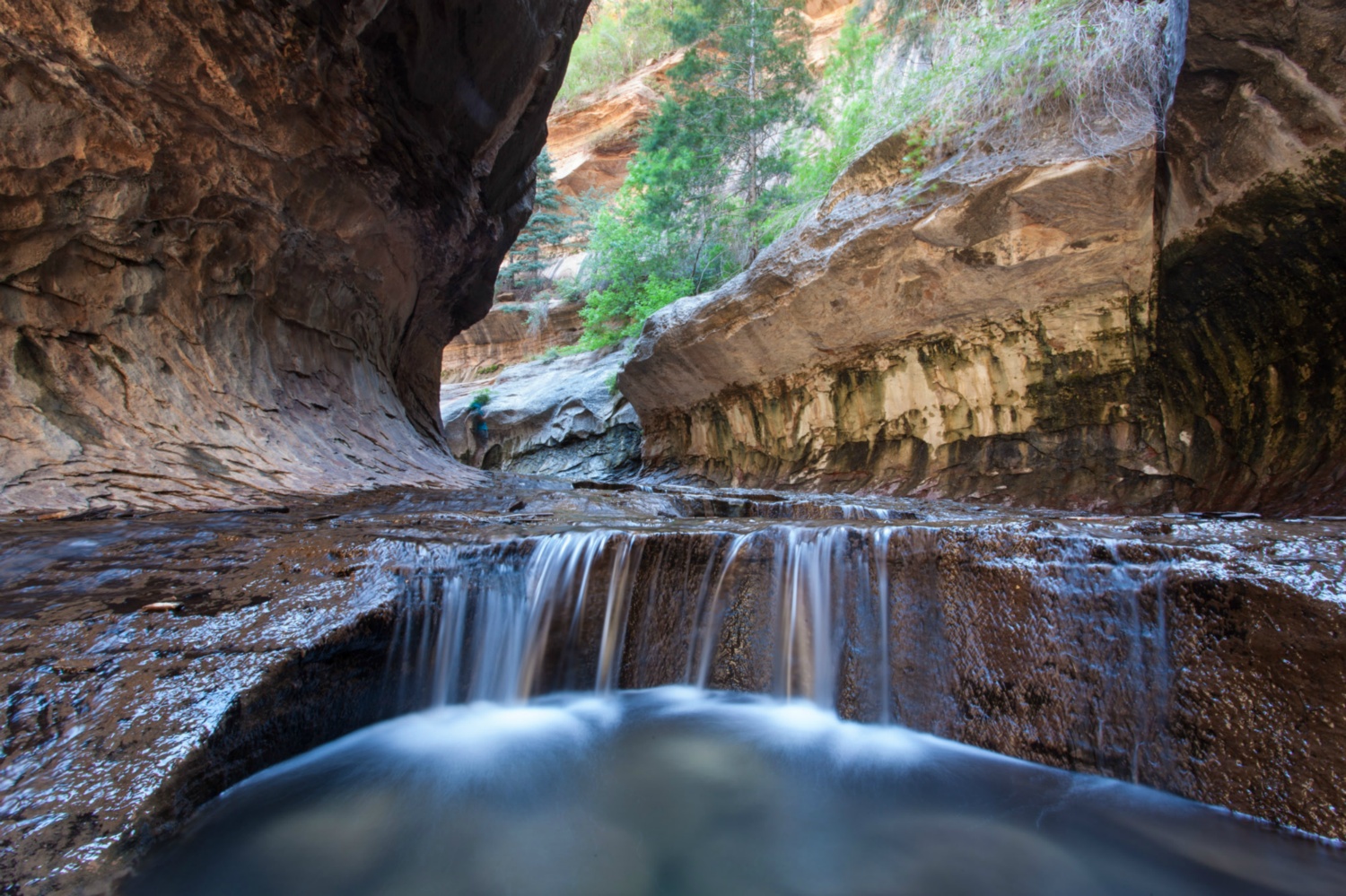 USA_Zion_038