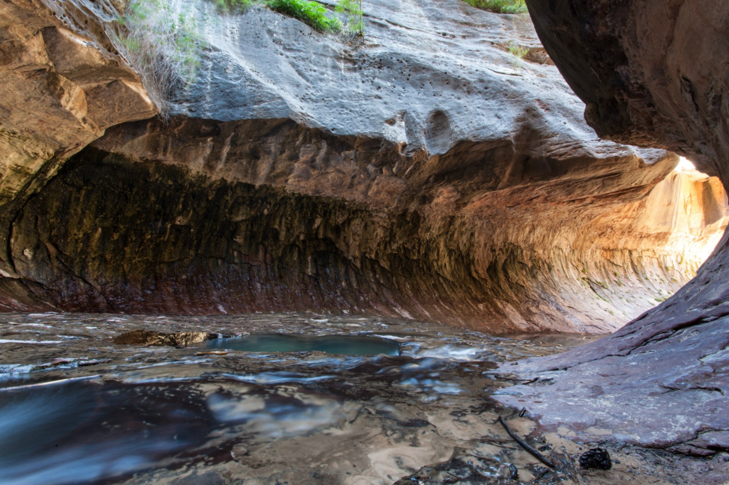 USA_Zion_044