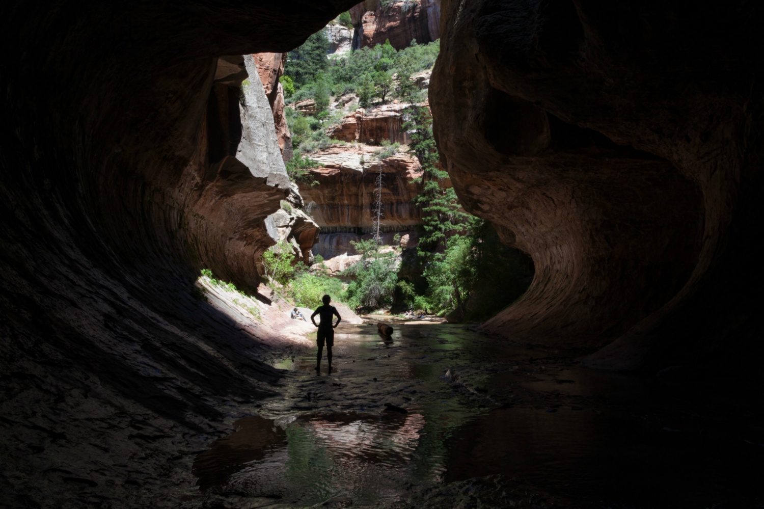 USA_Zion_052