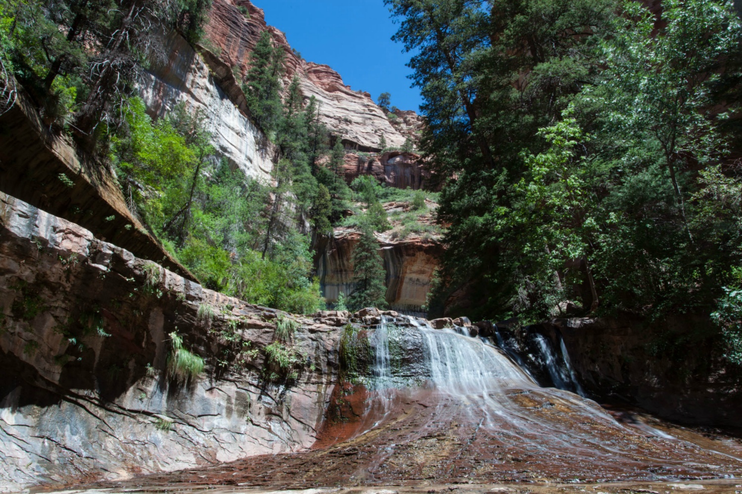 USA_Zion_073