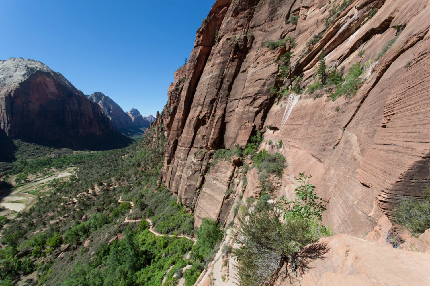 USA_Zion_157