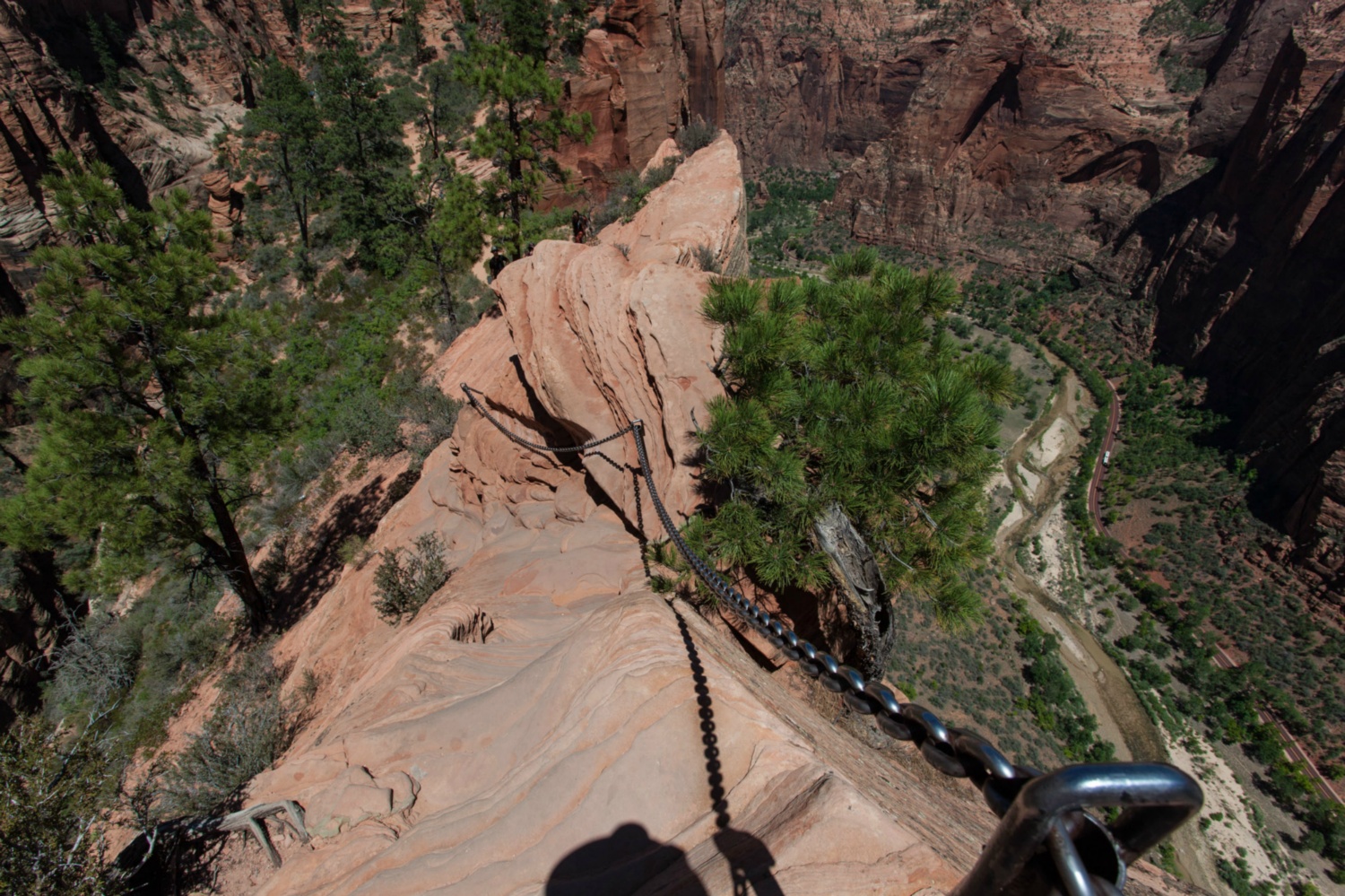 USA_Zion_210