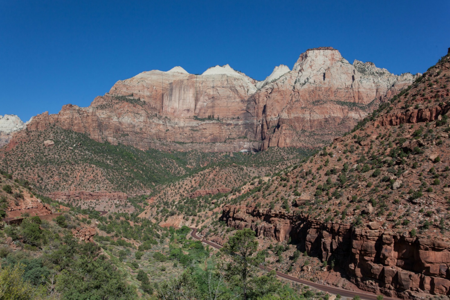 USA_Zion_294