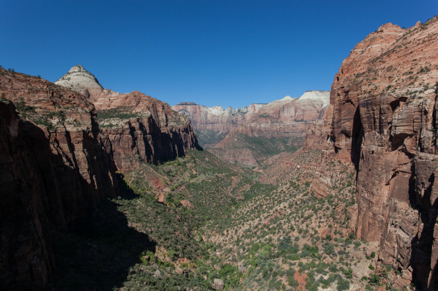 USA_Zion_301