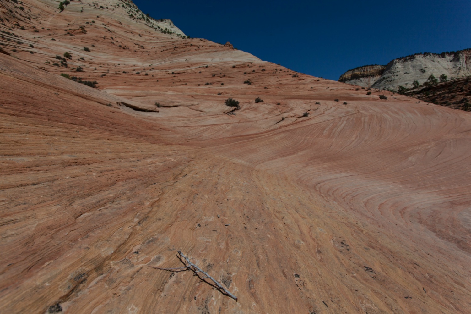 USA_Zion_313