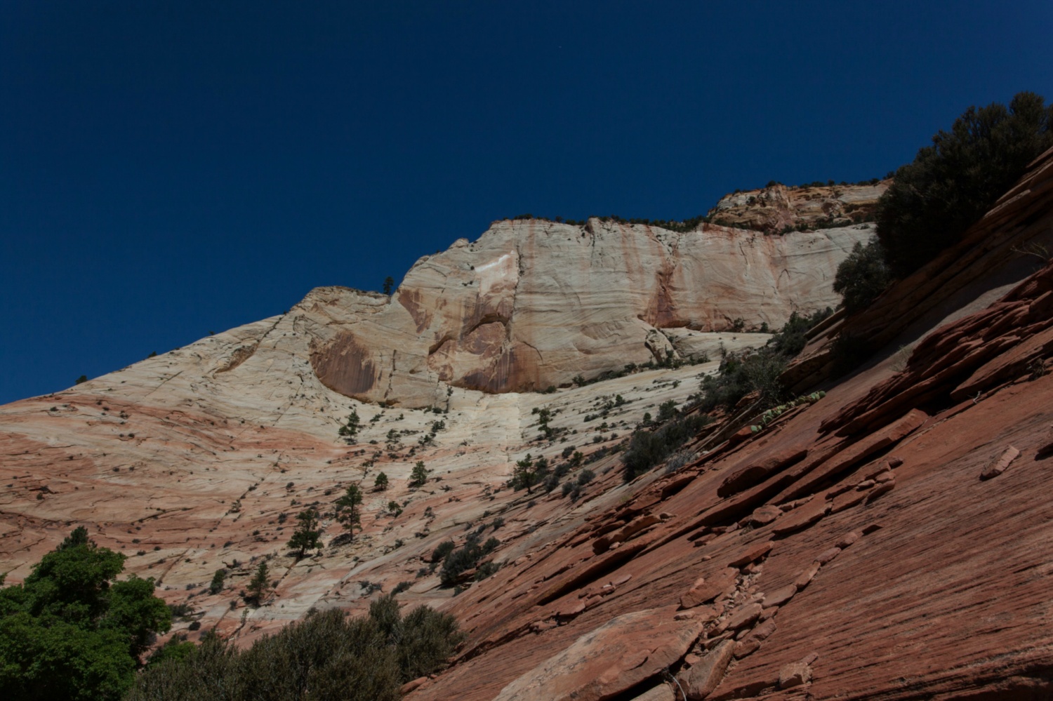 USA_Zion_316