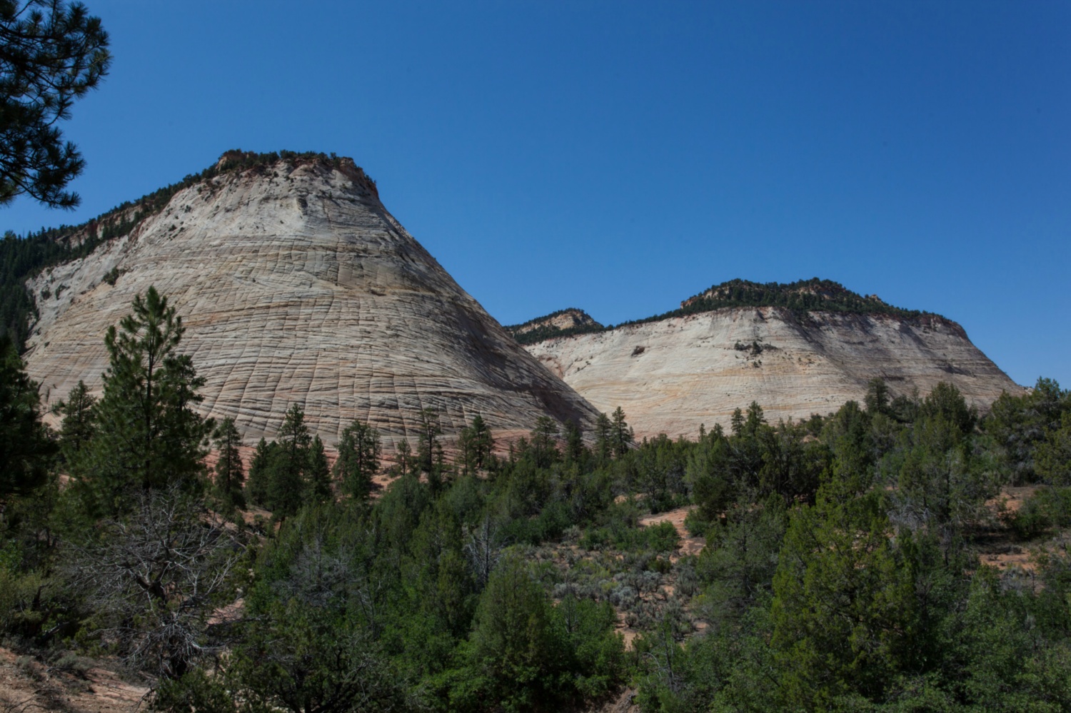 USA_Zion_318