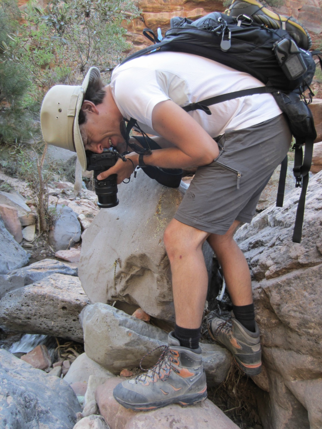 USA_Zion_A_014
